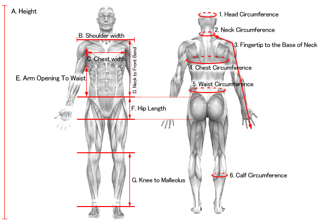 detail chart