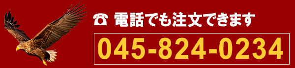 電話 045-824-0234